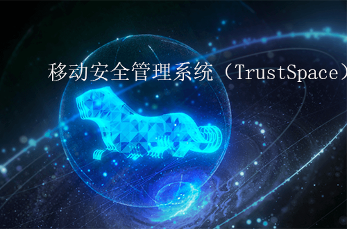 奇安信移動安全管理系統(tǒng)（TrustSpace）